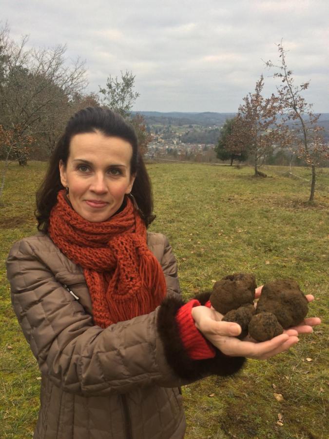 Domaine De Lascaux Panzió Montignac-Lascaux Kültér fotó
